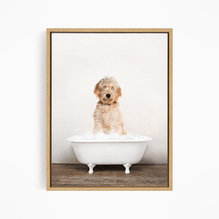 A fluffy golden retriever dog sitting in a white bathtub filled with water, looking directly at the camera.