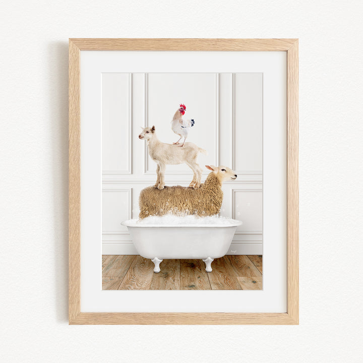 A framed image depicting a goat standing on a sheep's back while a rooster stands on top of the sheep, all in a white bathtub.