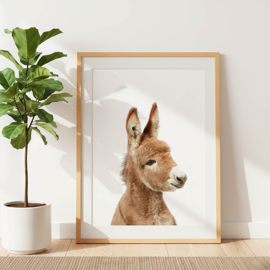 a brown donkey with a white nose and ears, standing in a white frame against a white wall.