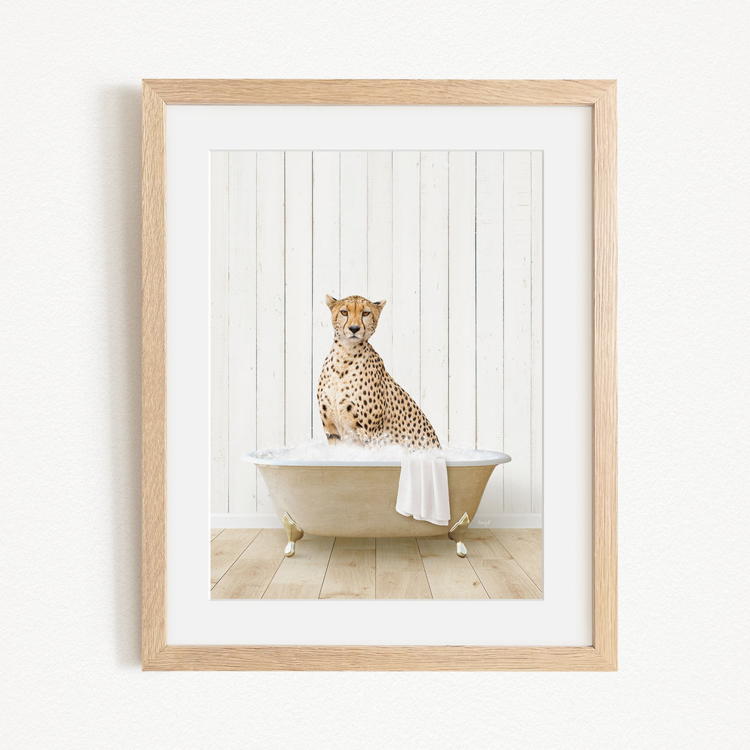 A cheetah sitting in a bathtub filled with water, with a towel draped over its body.