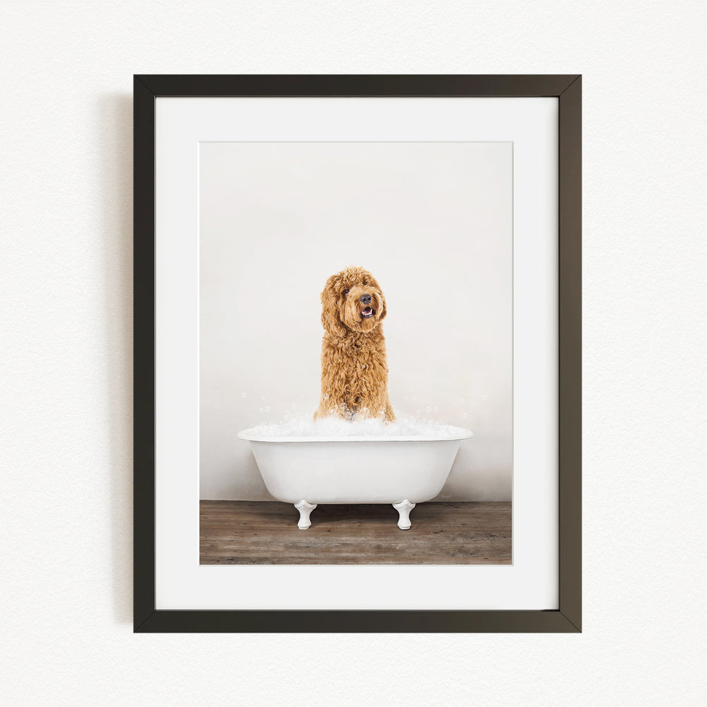 A brown dog standing in a white bathtub filled with water, looking at the camera with a playful expression.