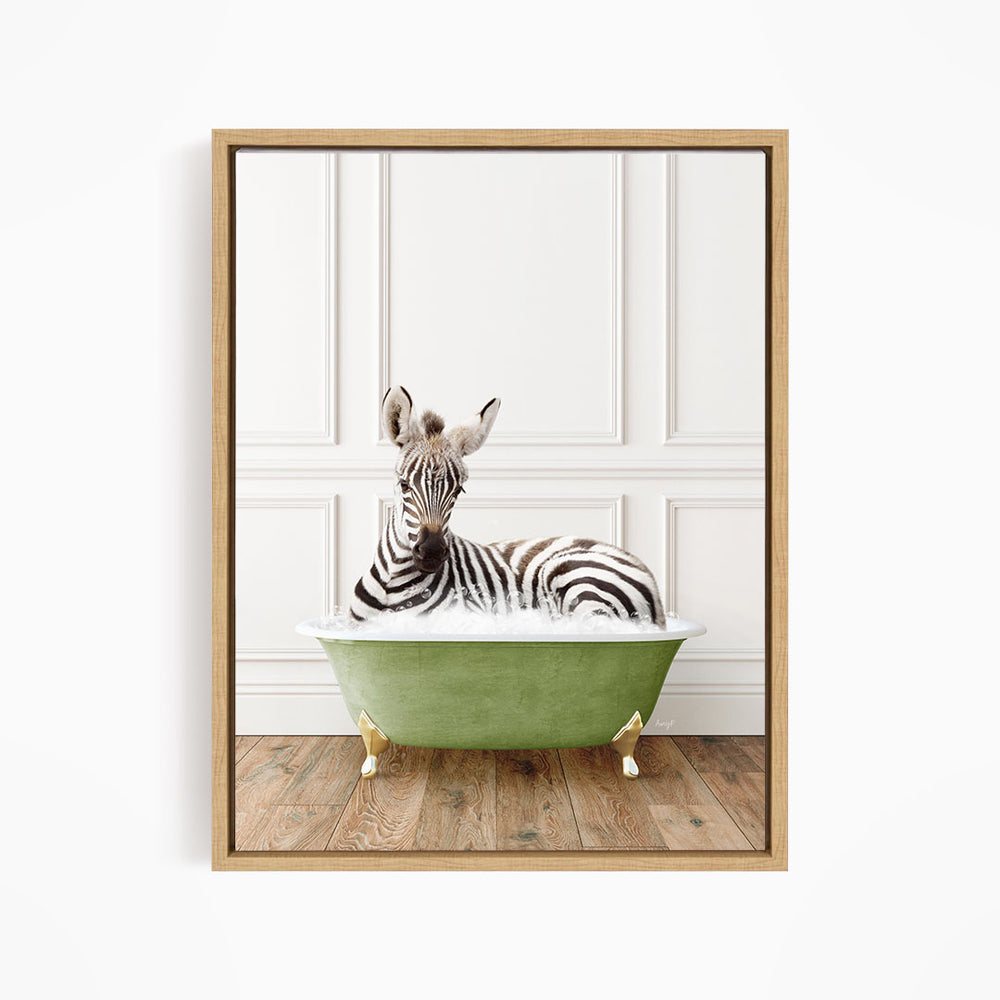 A zebra is sitting in a green bathtub, looking directly at the camera.