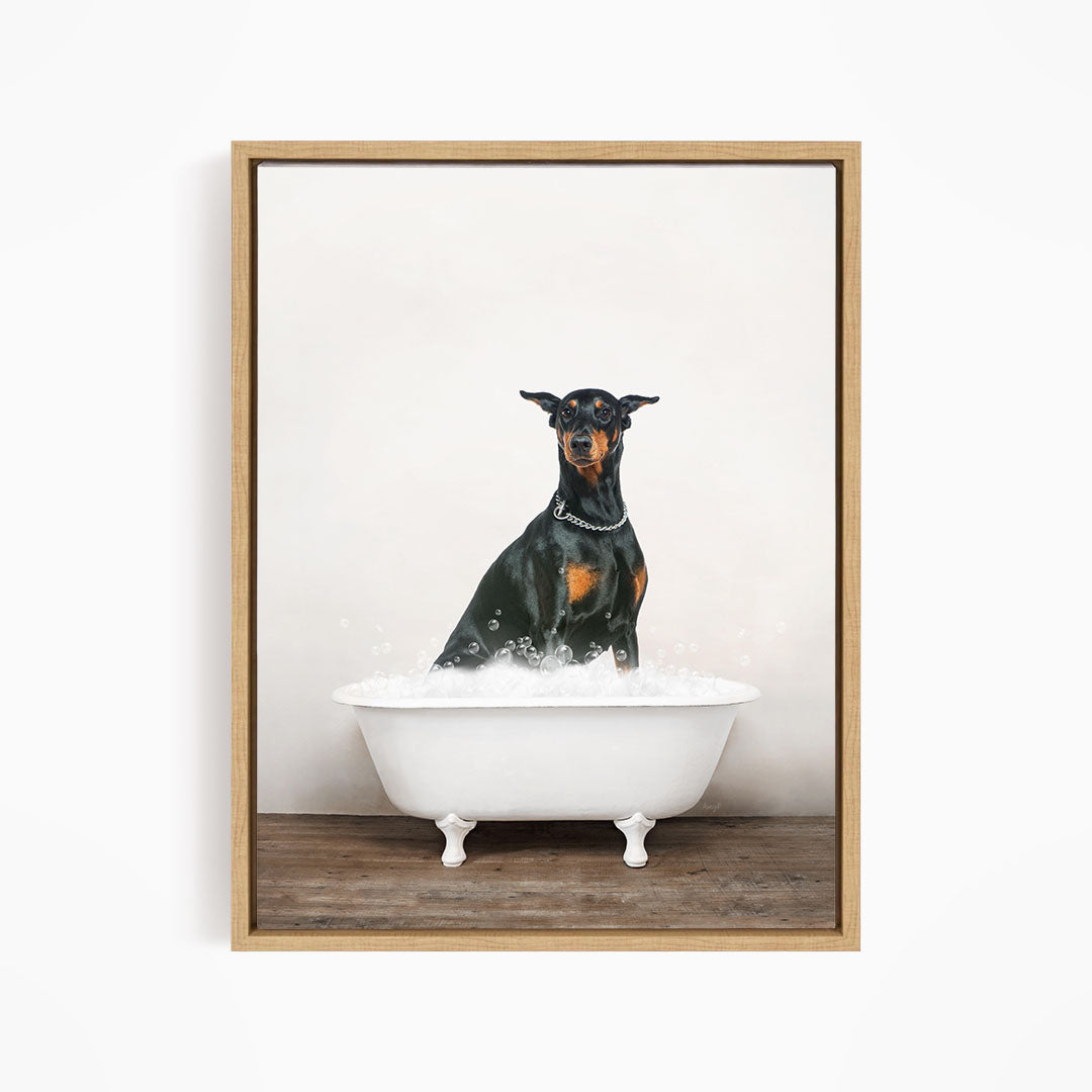 A black and brown dog sitting in a white bathtub filled with water, looking directly at the camera.