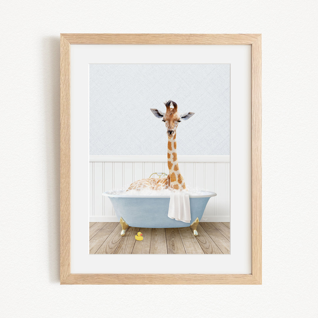 A giraffe is sitting in a blue bathtub filled with water, surrounded by yellow rubber duckies.