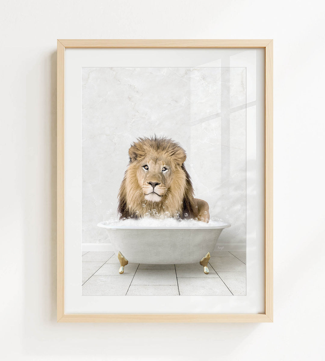 A lion is sitting in a white bathtub filled with water, looking directly at the camera.