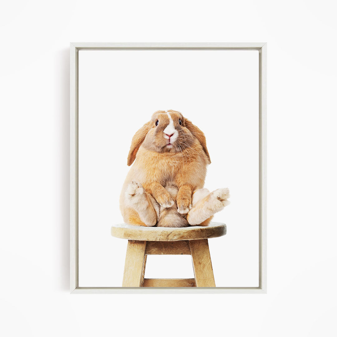 A brown rabbit sitting on a wooden stool against a white background.