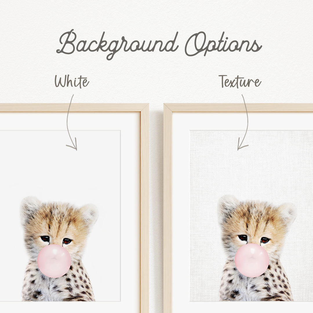 a cheetah with its mouth open, blowing a bubble with a pink bubble gum.