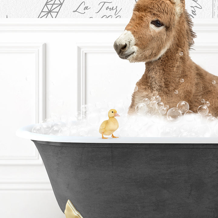 a donkey in a bathtub with bubbles and a rubber duck