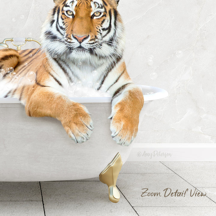 A tiger is sitting in a white bathtub filled with bubbles, appearing relaxed and content.