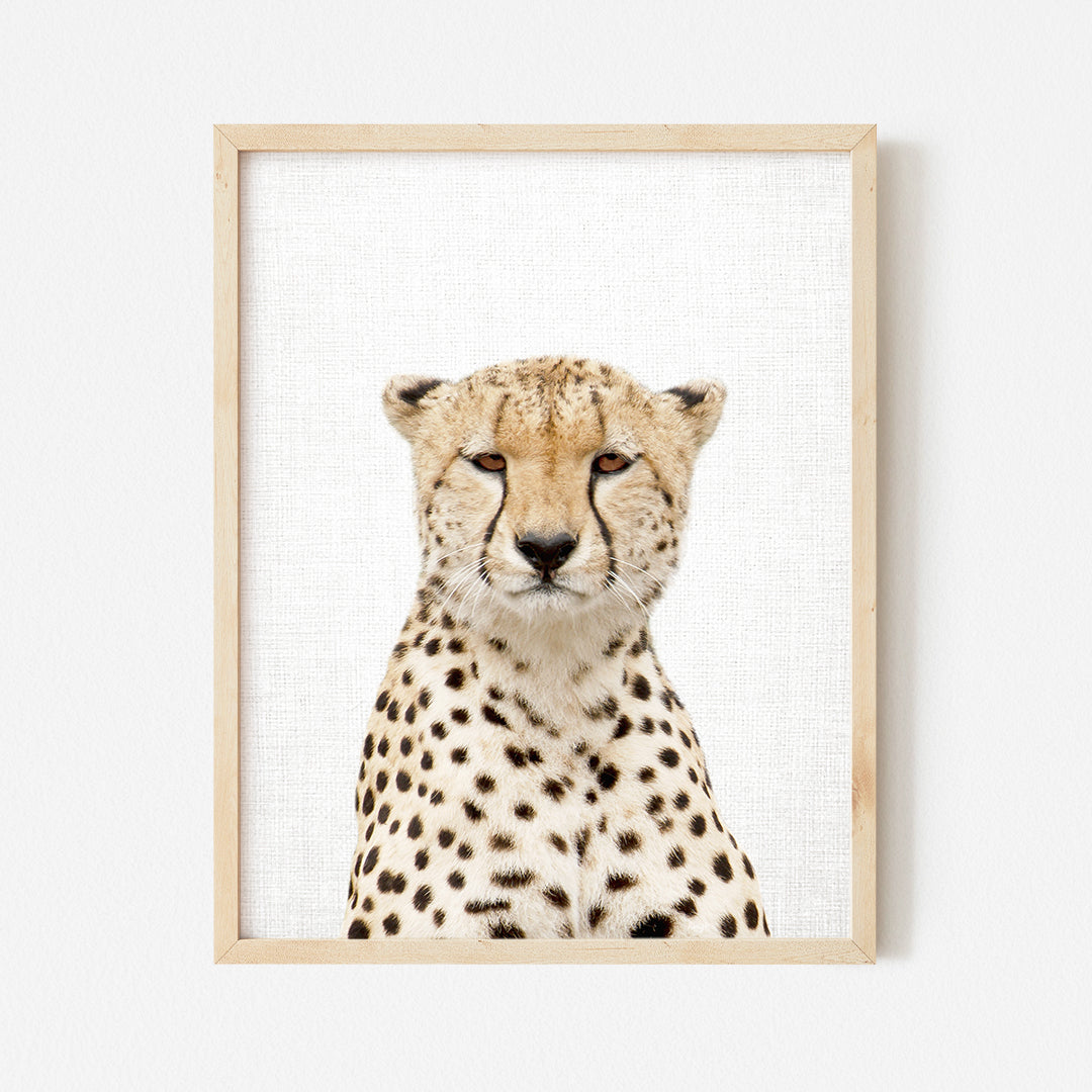 a picture of a cheetah in a frame