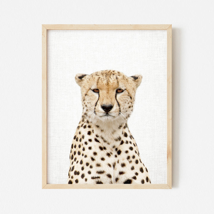 a picture of a cheetah in a frame