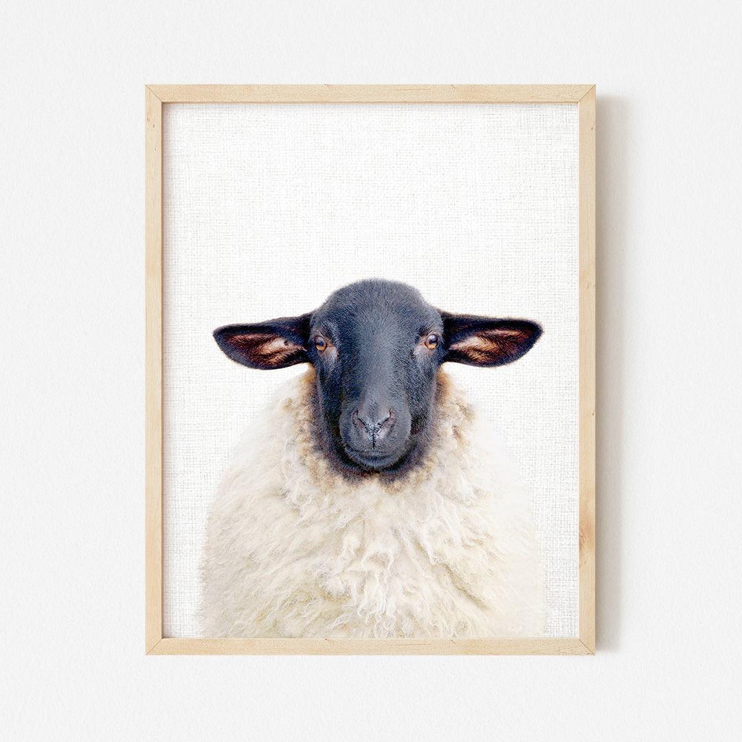 a picture of a sheep in a wooden frame