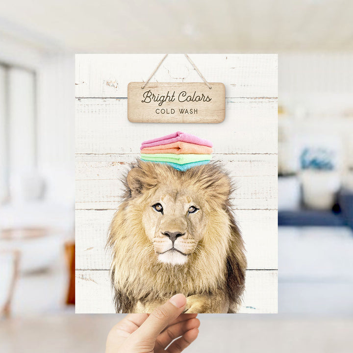A hand is holding up a framed print featuring a close-up of a lion's face with a sign above it that says "Bright Colors Cold Wash".