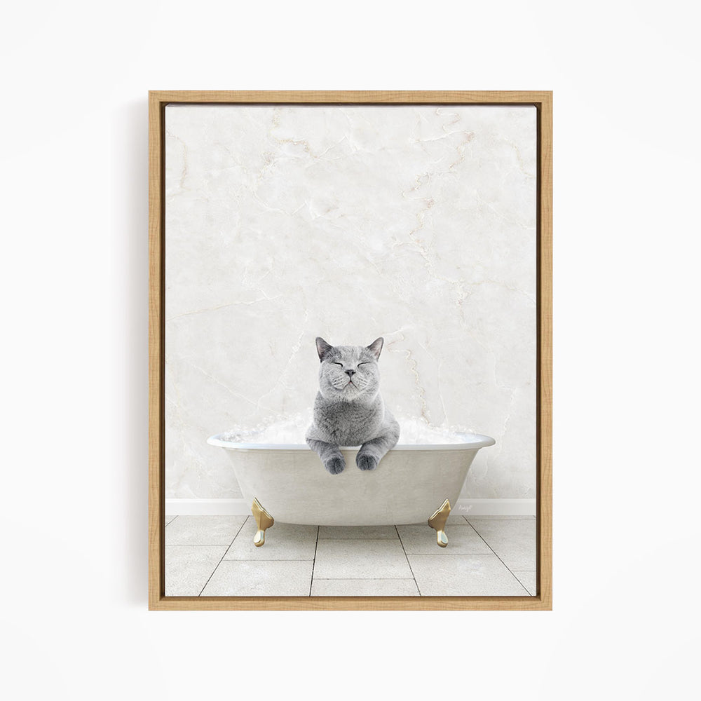 A gray cat sitting in a white bathtub, with its eyes closed, against a white marble wall.