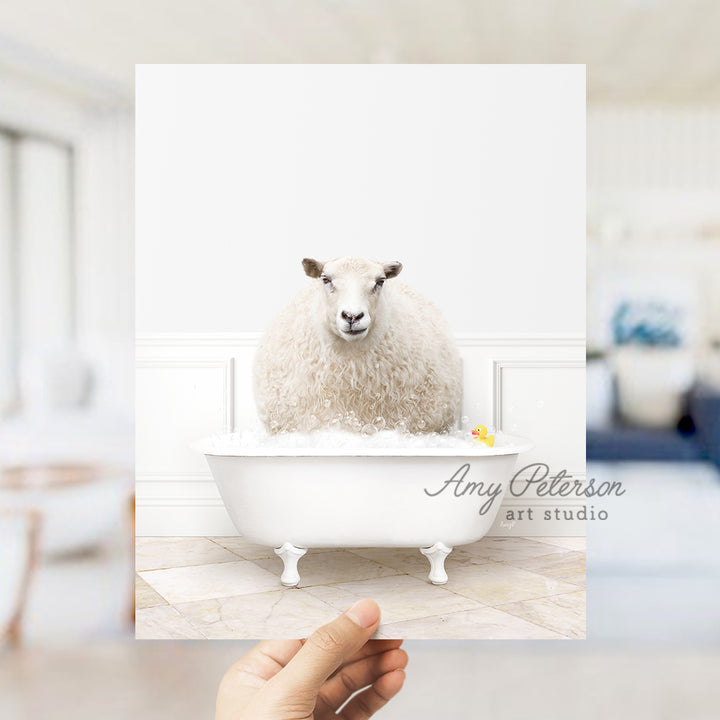 Sheep in Modern Bath