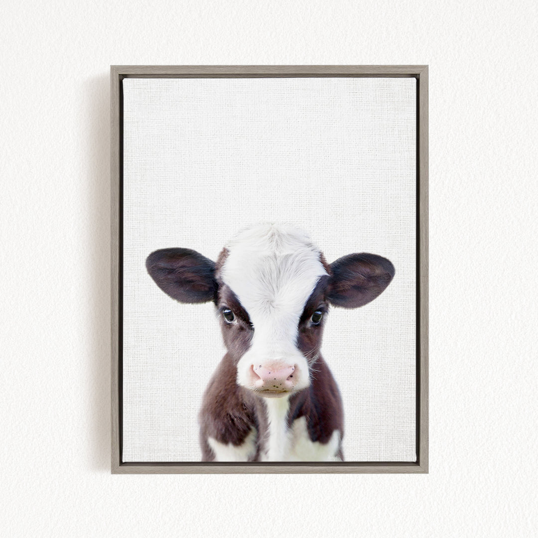 A framed image of a black and white cow with a curious expression, looking directly at the camera.