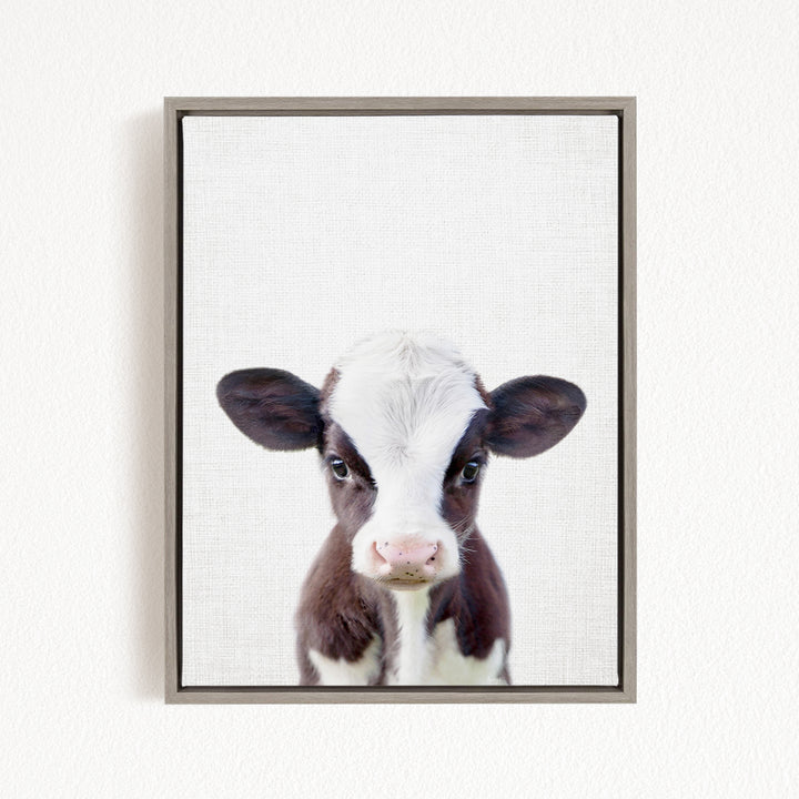 A framed image of a black and white cow with a curious expression, looking directly at the camera.