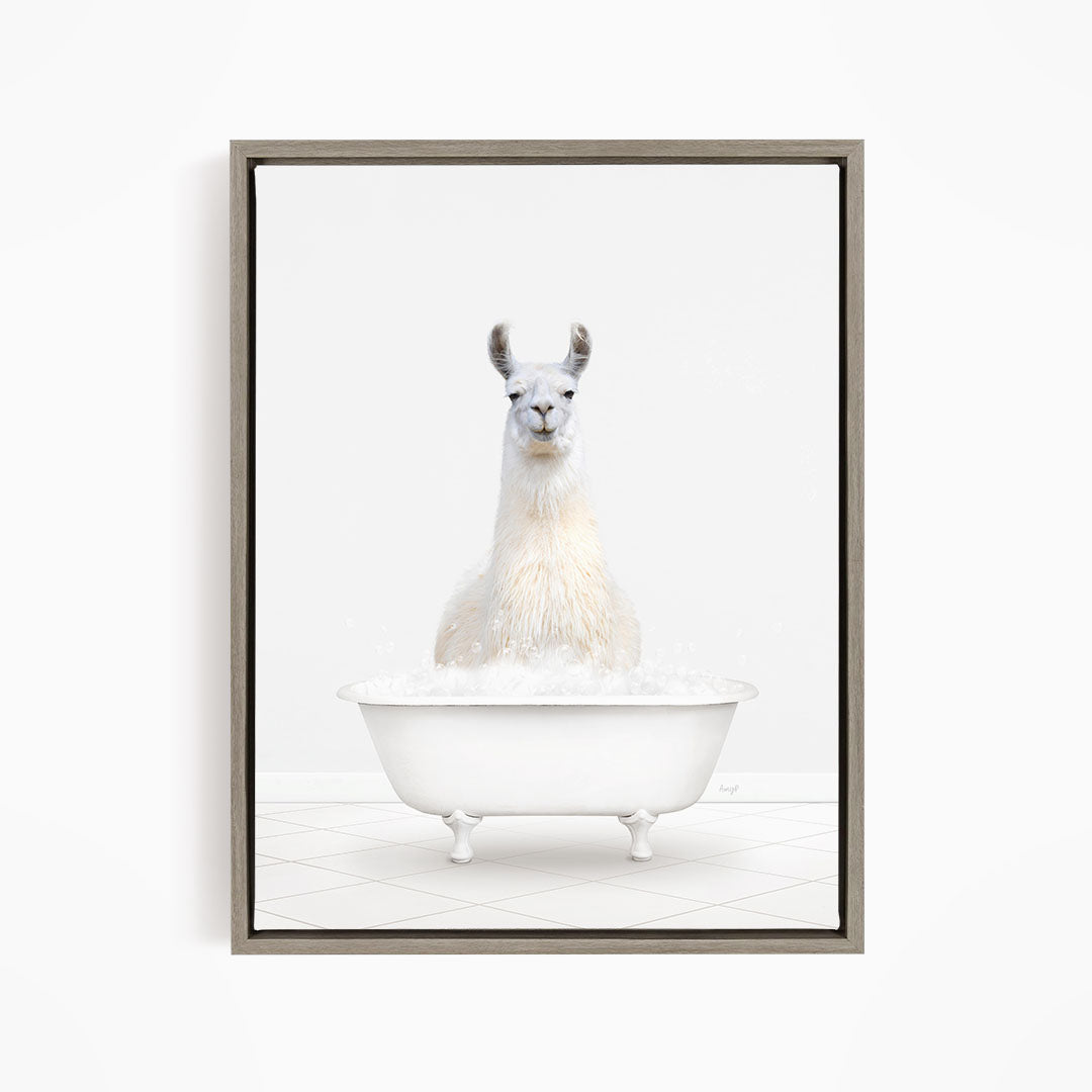 A white llama sitting in a white bathtub filled with bubbles.