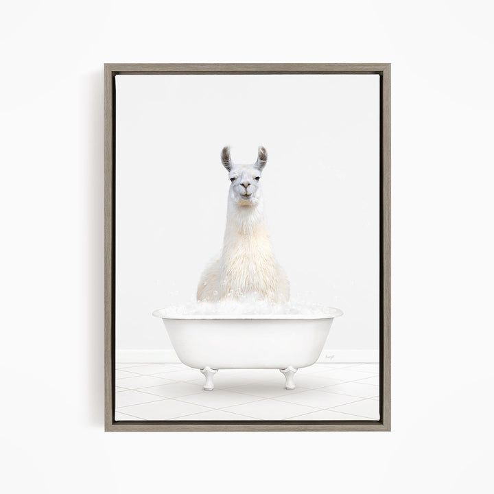 A white llama sitting in a white bathtub filled with bubbles.
