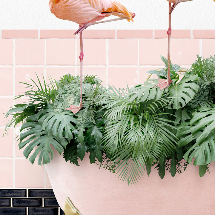 a couple of flamingos standing on top of a plant