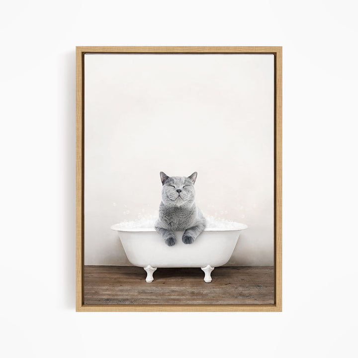 A gray cat sitting in a white bathtub filled with bubbles, looking content and relaxed.