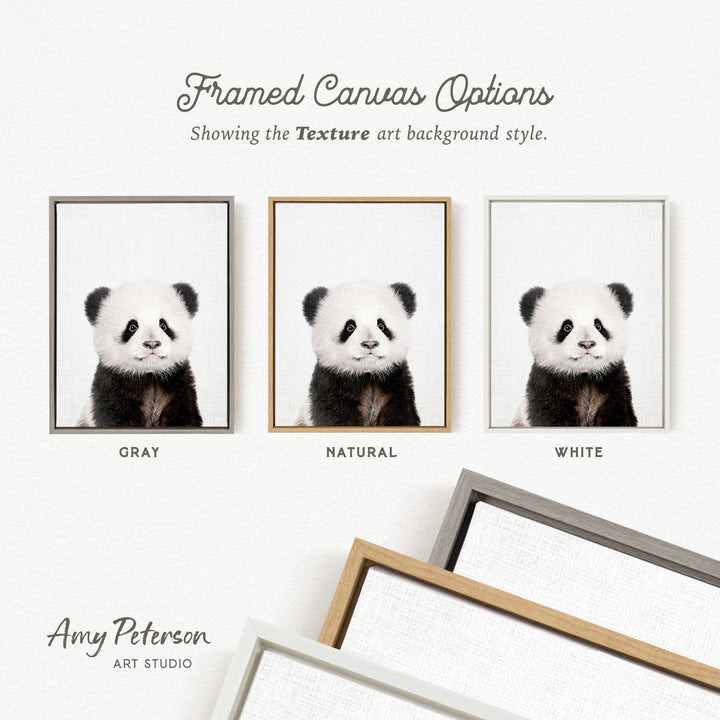 three framed canvas options, each with a panda bear image in a different color: gray, natural, and white. The text above the images reads " Framed Canvas Options" and "Showing the Texture art background style." The text below the images says "Grays," "NATURAL," and "WHITE." The artist's name, Amy Peterson, is also mentioned at the bottom of the image.