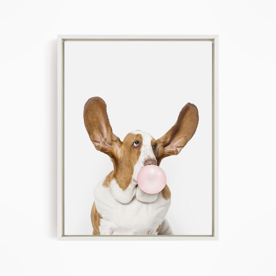 A brown and white dog with large ears is blowing a bubble with a pink bubble gum bubble.