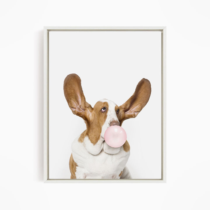 A brown and white dog with large ears is blowing a bubble with a pink bubble gum bubble.