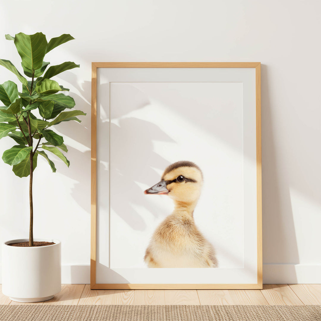 A framed photograph of a duck is displayed on a white wall, with a potted plant to the left.