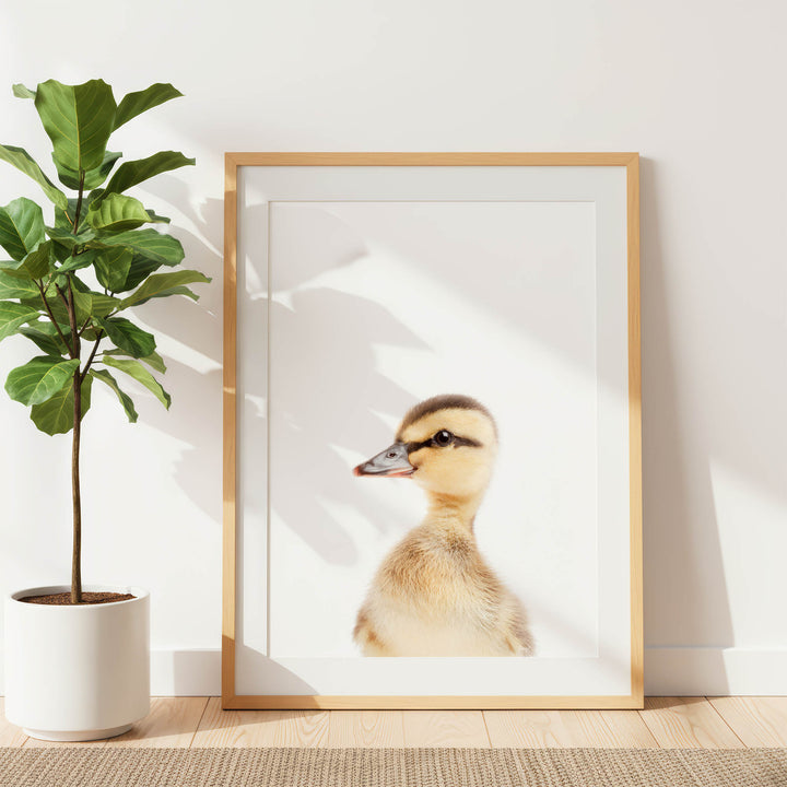 A framed photograph of a duck is displayed on a white wall, with a potted plant to the left.
