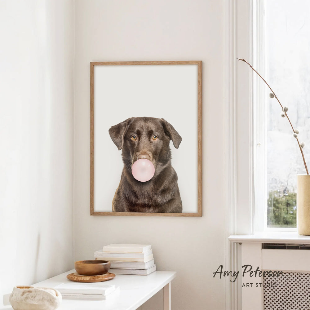 A framed photograph of a brown dog blowing a bubble gum bubble is hanging on a white wall in a room with a white table and a window.
