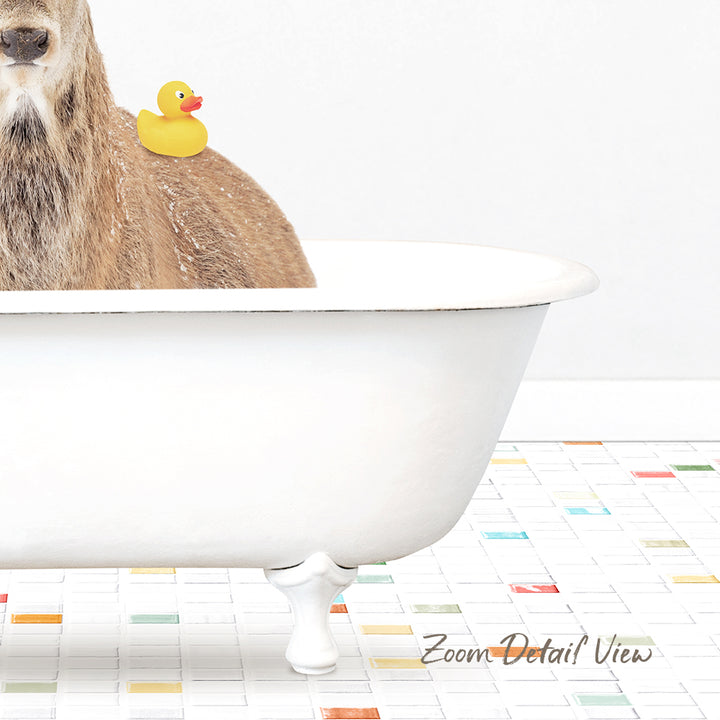A dog is sitting in a white bathtub, with a yellow rubber duck on its back.