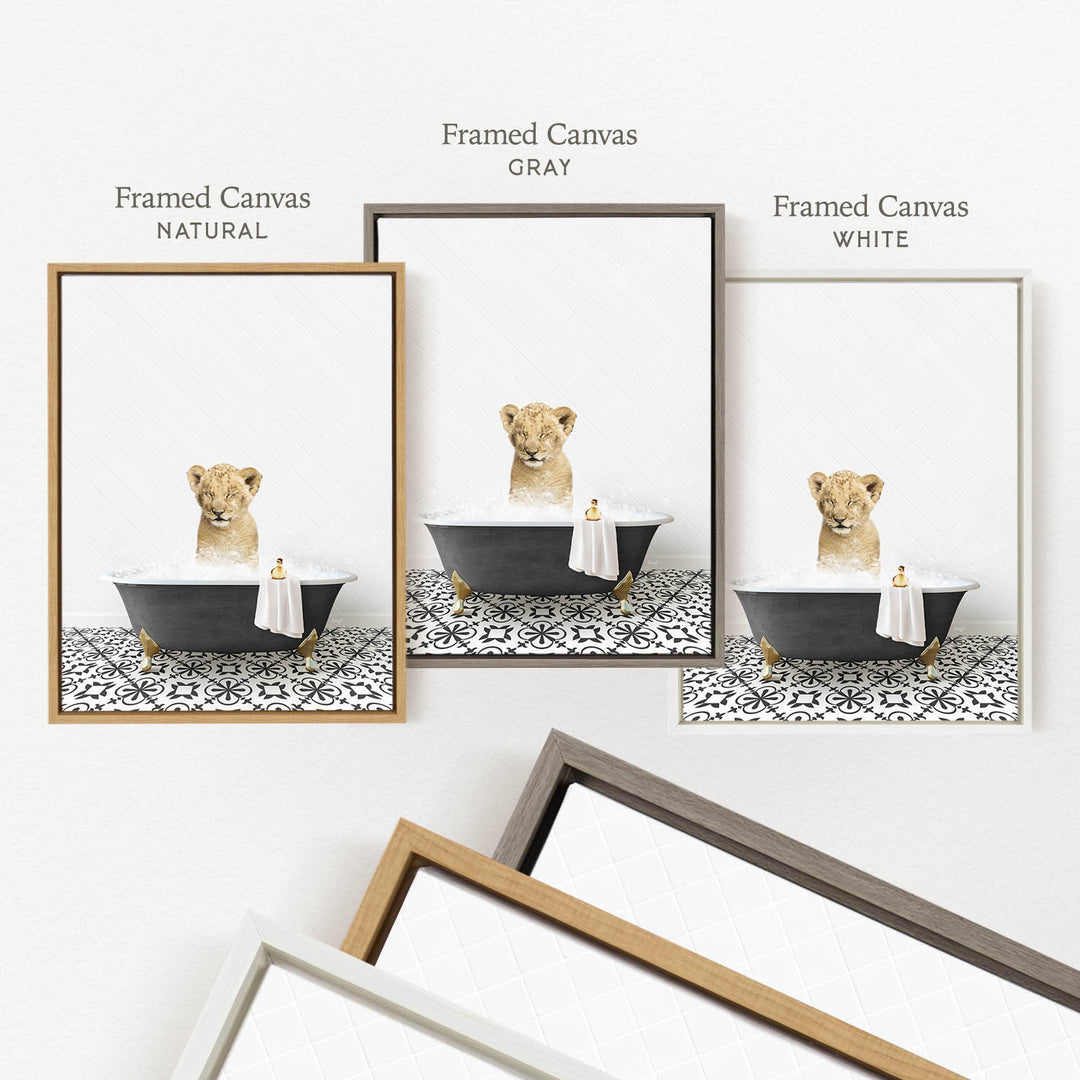 three framed pictures of a lion sitting in a bathtub, each with a different colored frame.