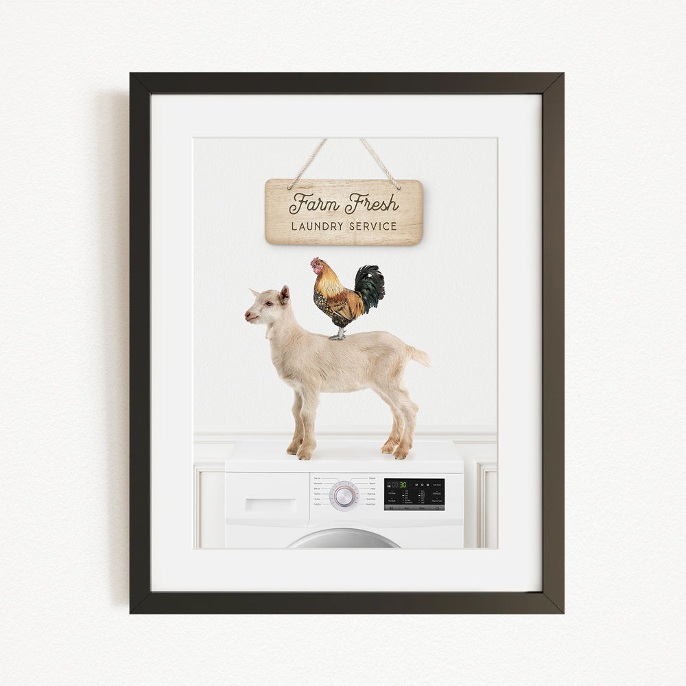 a white goat standing on top of a washing machine, with a rooster perched on its back. Above the goat, there is a wooden sign that reads "Farm Fresh Laundry Service".