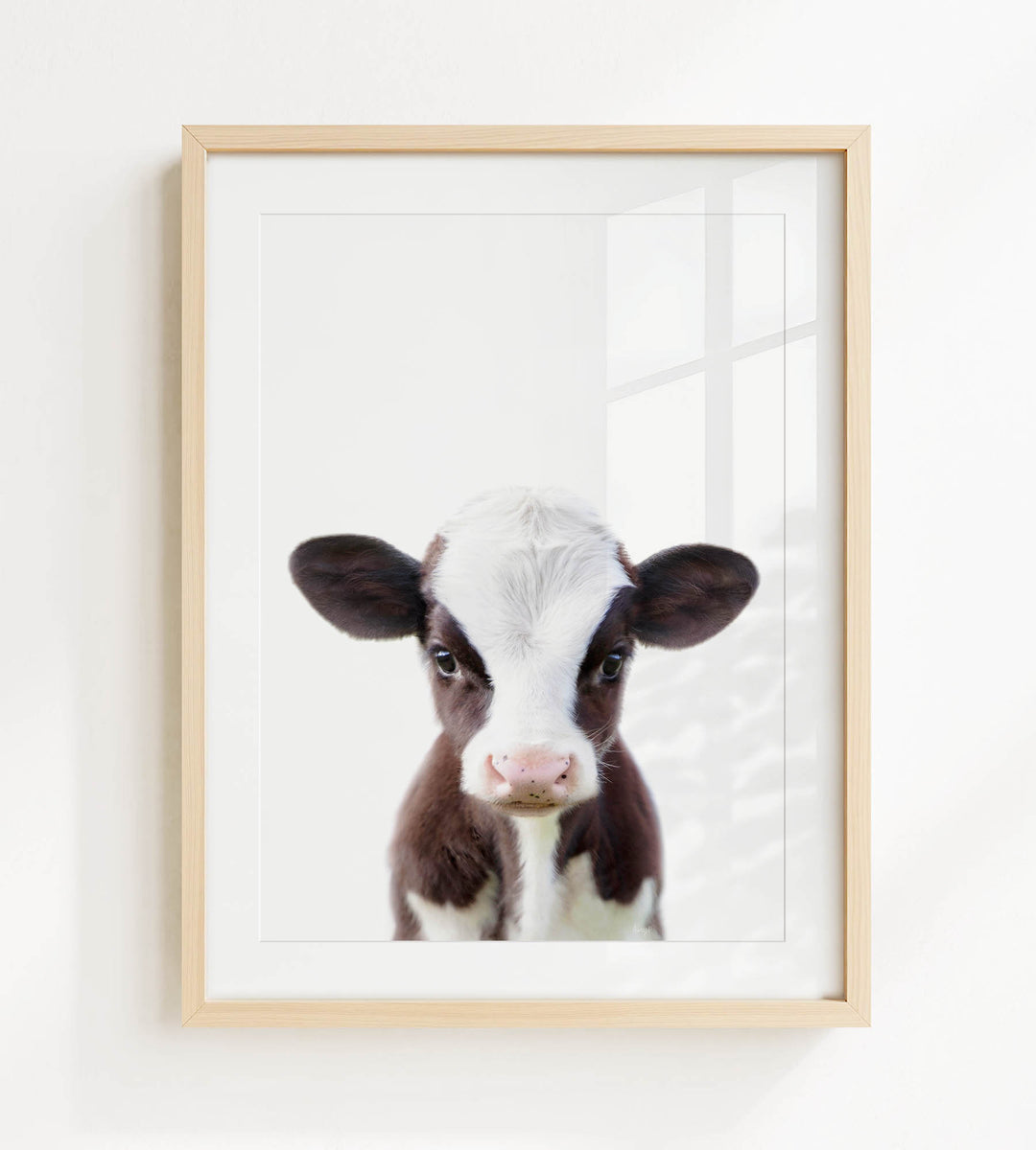 A framed photograph of a black and white cow with a white face and brown spots, looking directly at the camera.