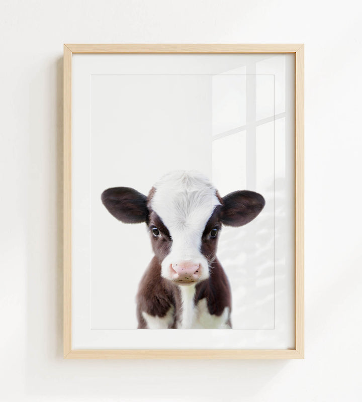 A framed photograph of a black and white cow with a white face and brown spots, looking directly at the camera.