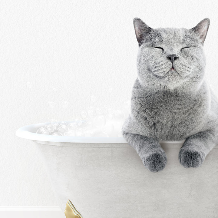 a gray cat sitting in a bathtub with its eyes closed