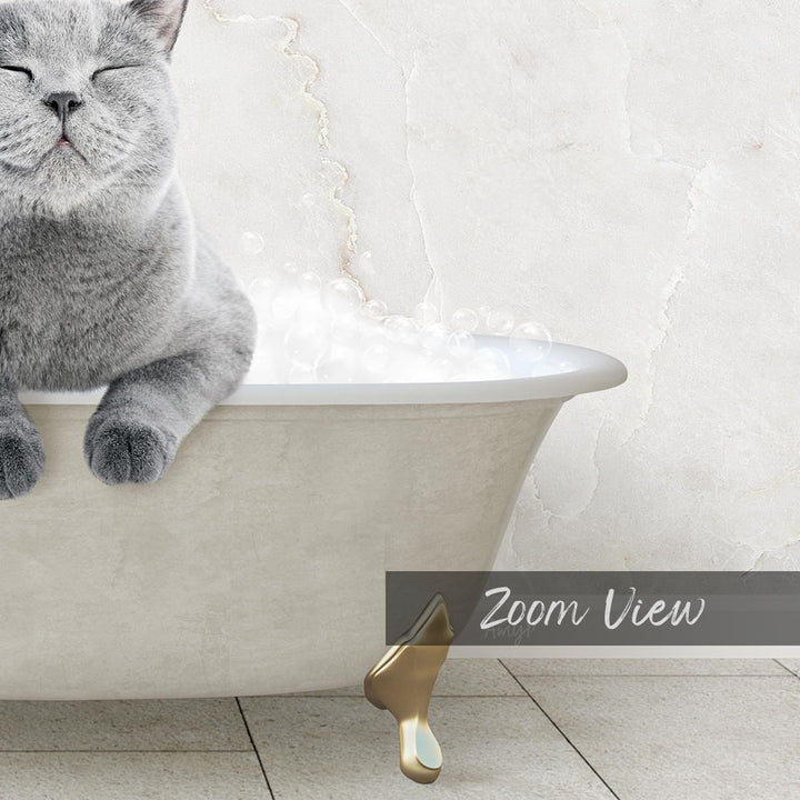 A gray cat sitting in a white bathtub filled with bubbles, with a text overlay that reads "Zoom View".
