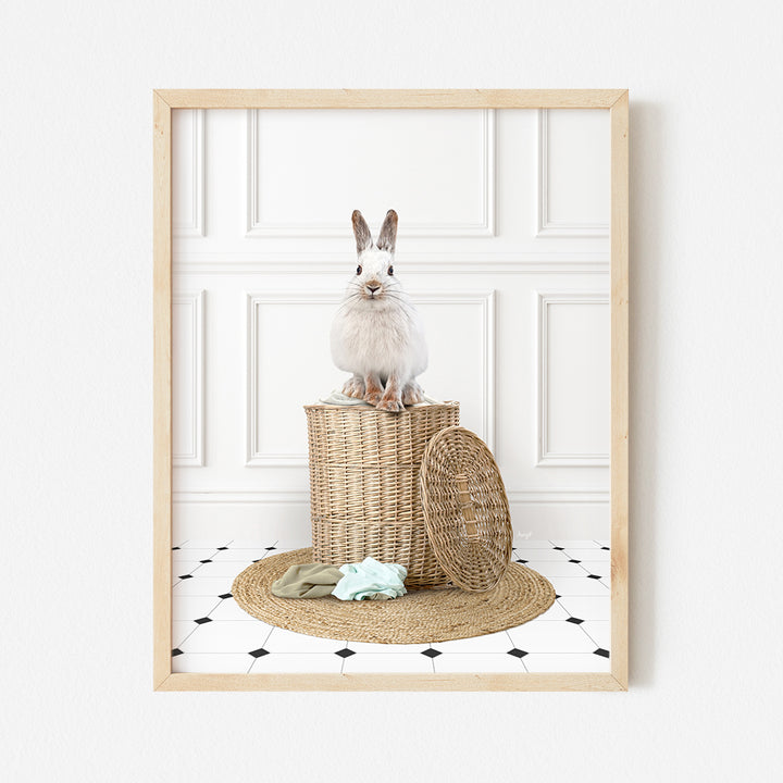 a white rabbit sitting on top of a basket