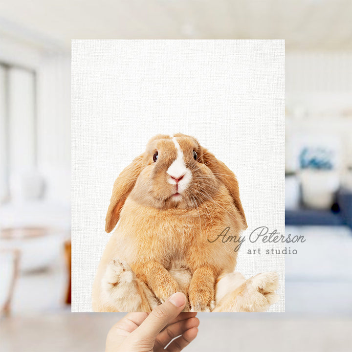 a person holding up a picture of a rabbit