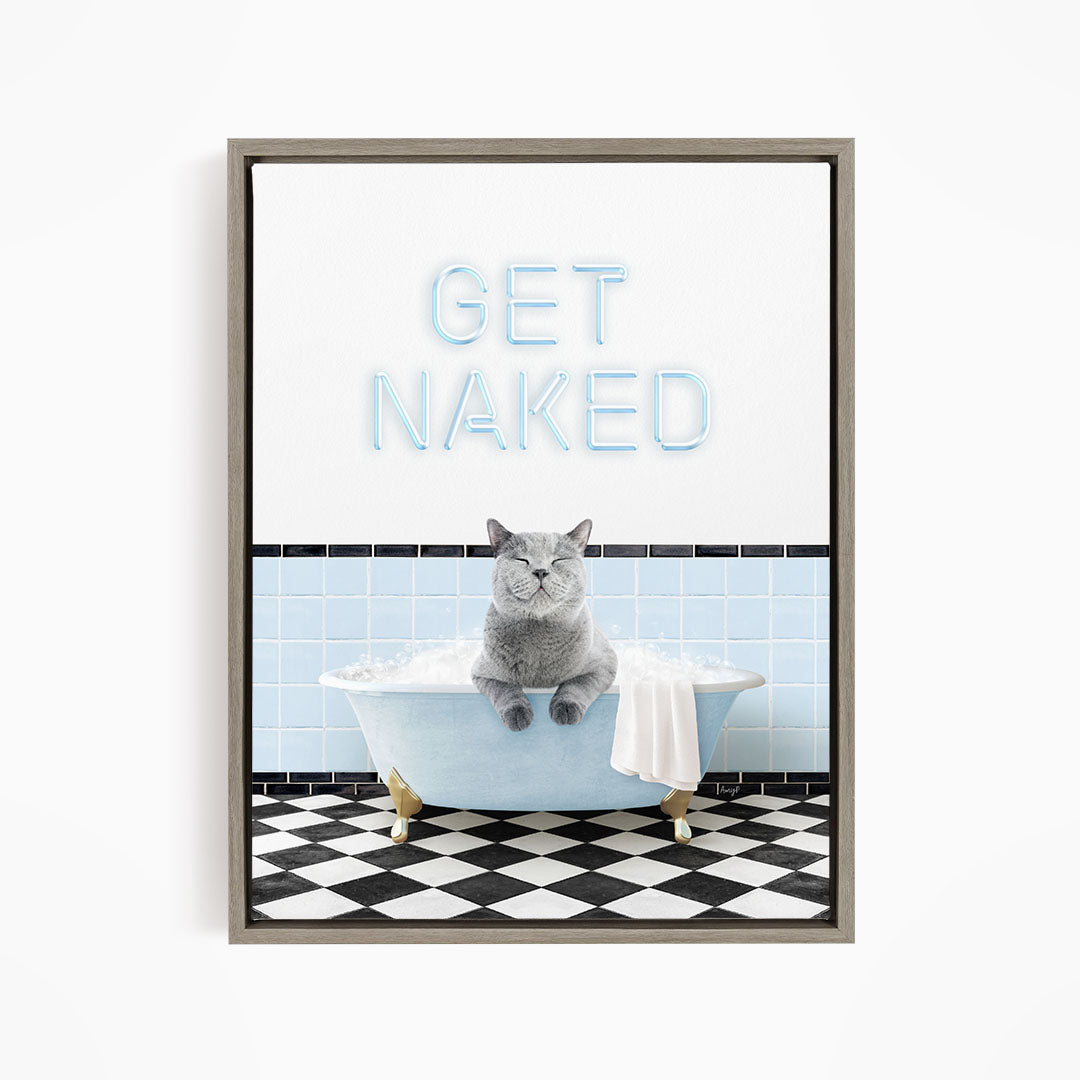 A gray cat sitting in a blue bathtub, with the text "GET NAKED" displayed above it.