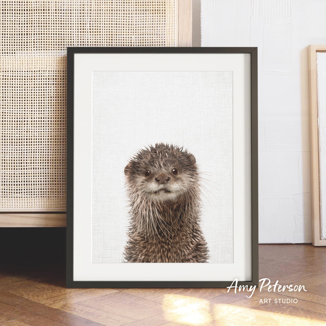 A framed photograph of an otter with a white background.