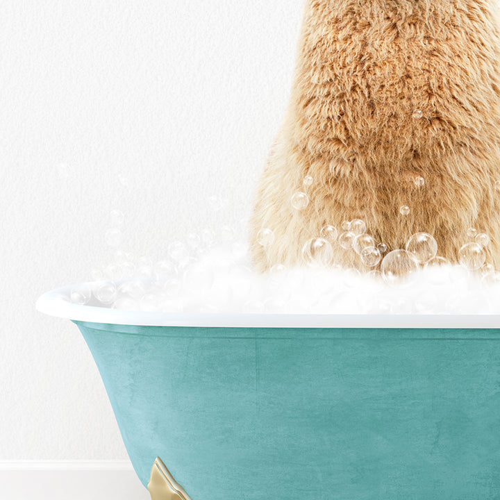 a bear is sitting in a bathtub full of bubbles