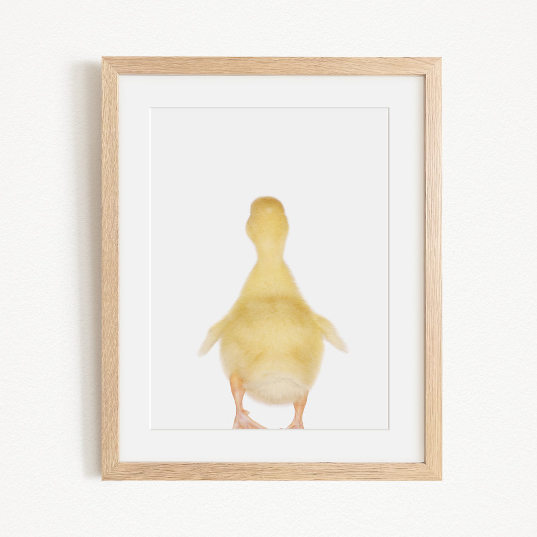 A framed image of a yellow duck standing on its hind legs.