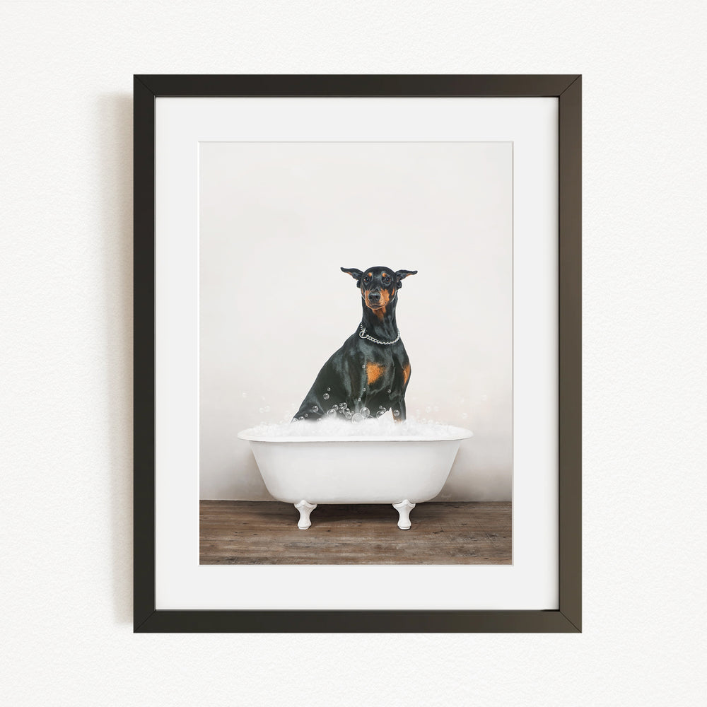 A black and brown dog standing in a white bathtub filled with water, looking directly at the camera.