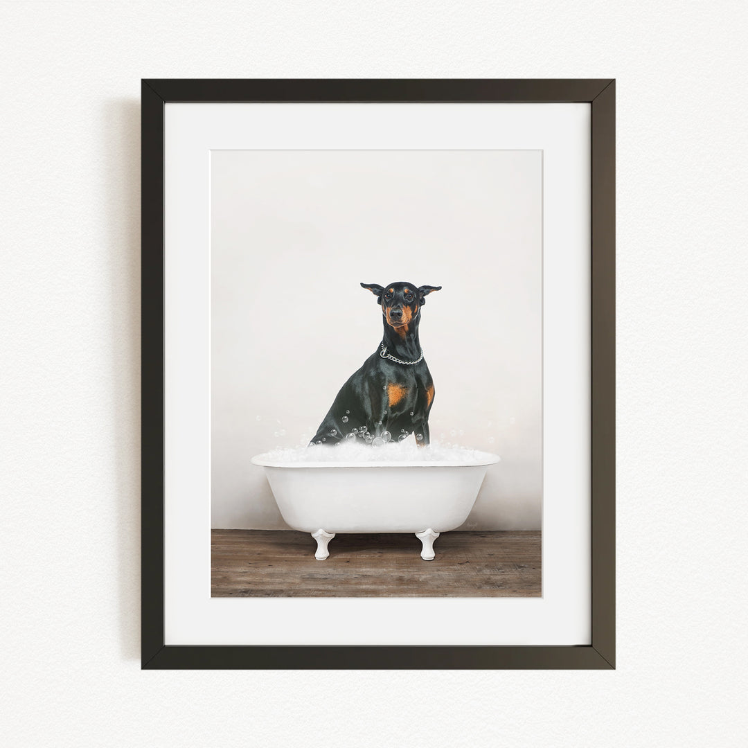 A black and brown dog standing in a white bathtub filled with water, looking directly at the camera.