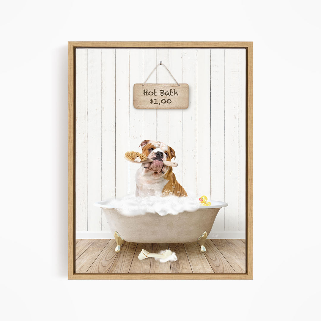 A brown and white bulldog sitting in a white bathtub, holding a yellow rubber duck, with a wooden sign above that says "Hot Bath $1.00".