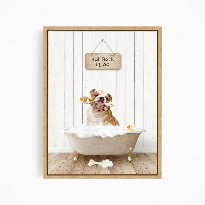 A brown and white bulldog sitting in a white bathtub, holding a yellow rubber duck, with a wooden sign above that says "Hot Bath $1.00".