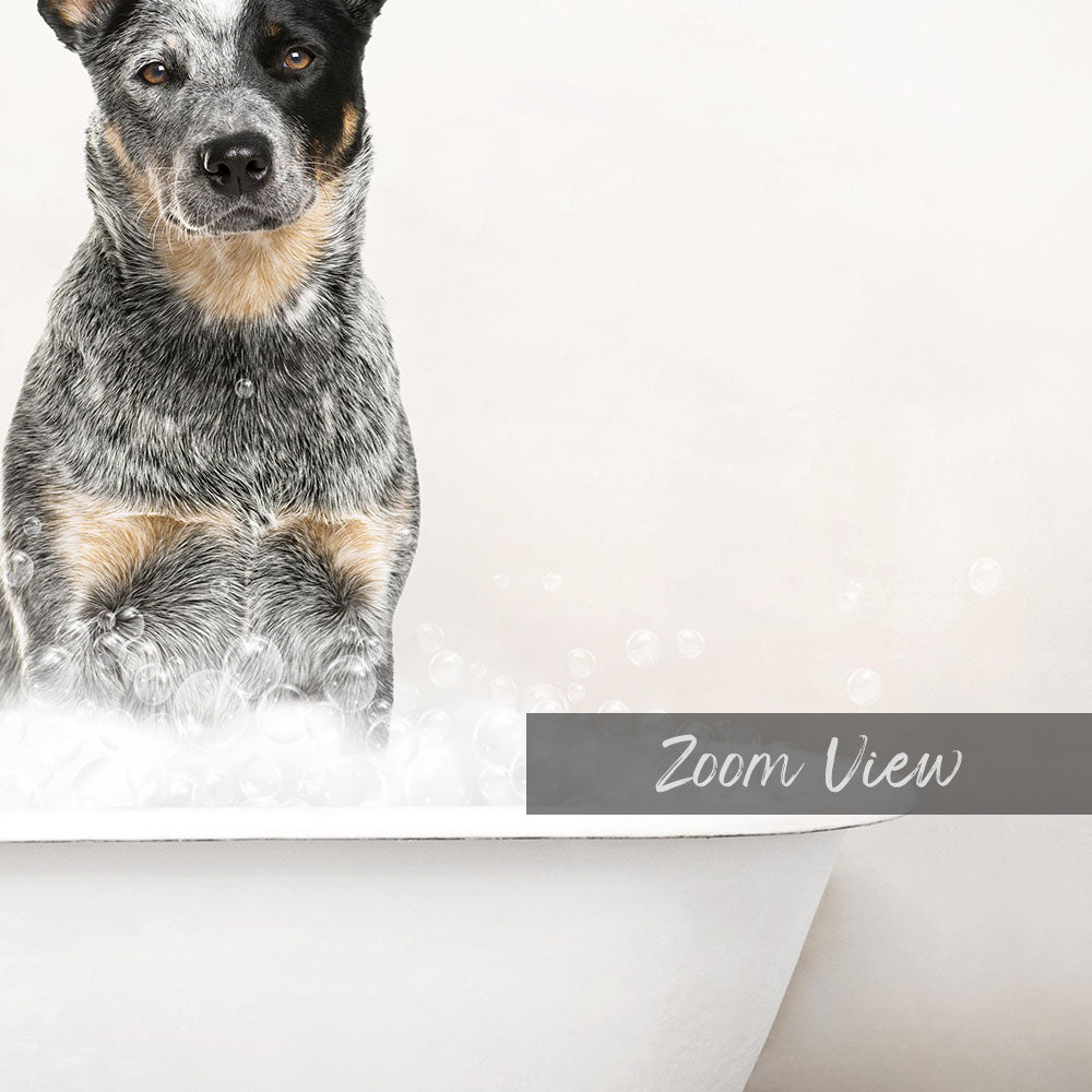 A dog sitting in a bathtub filled with bubbles, with the text "Zoom View" displayed below the image.