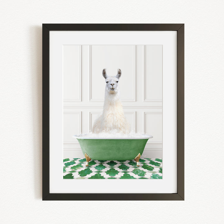A white llama sitting in a green bathtub filled with bubbles, with a green and white patterned rug on the floor.